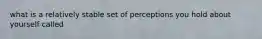 what is a relatively stable set of perceptions you hold about yourself called