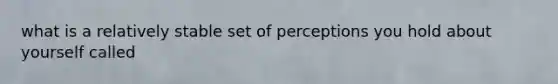 what is a relatively stable set of perceptions you hold about yourself called