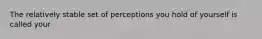 The relatively stable set of perceptions you hold of yourself is called your