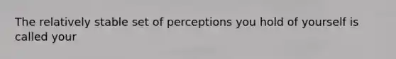 The relatively stable set of perceptions you hold of yourself is called your