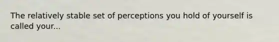 The relatively stable set of perceptions you hold of yourself is called your...