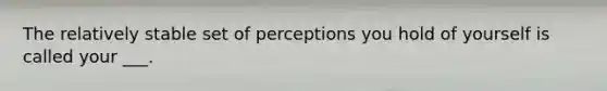 The relatively stable set of perceptions you hold of yourself is called your ___.