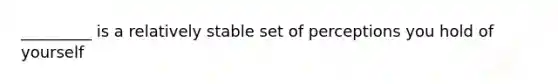 _________ is a relatively stable set of perceptions you hold of yourself