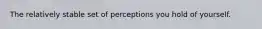 The relatively stable set of perceptions you hold of yourself.