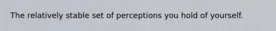 The relatively stable set of perceptions you hold of yourself.