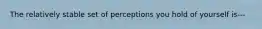 The relatively stable set of perceptions you hold of yourself is---