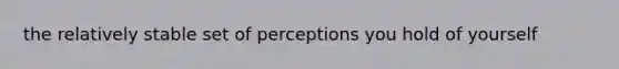 the relatively stable set of perceptions you hold of yourself