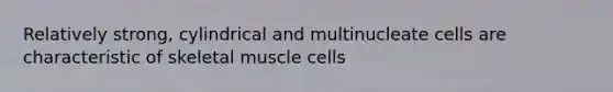 Relatively strong, cylindrical and multinucleate cells are characteristic of skeletal muscle cells