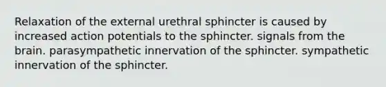 Relaxation of the external urethral sphincter is caused by increased action potentials to the sphincter. signals from the brain. parasympathetic innervation of the sphincter. sympathetic innervation of the sphincter.