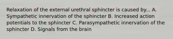 Relaxation of the external urethral sphincter is caused by... A. Sympathetic innervation of the sphincter B. Increased action potentials to the sphincter C. Parasympathetic innervation of the sphincter D. Signals from the brain