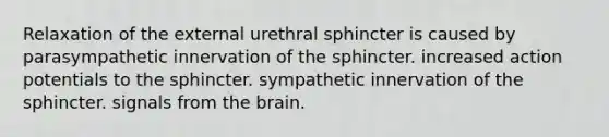 Relaxation of the external urethral sphincter is caused by parasympathetic innervation of the sphincter. increased action potentials to the sphincter. sympathetic innervation of the sphincter. signals from <a href='https://www.questionai.com/knowledge/kLMtJeqKp6-the-brain' class='anchor-knowledge'>the brain</a>.