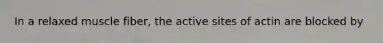 In a relaxed muscle fiber, the active sites of actin are blocked by
