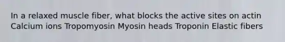 In a relaxed muscle fiber, what blocks the active sites on actin Calcium ions Tropomyosin Myosin heads Troponin Elastic fibers