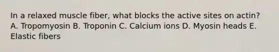 In a relaxed muscle fiber, what blocks the active sites on actin? A. Tropomyosin B. Troponin C. Calcium ions D. Myosin heads E. Elastic fibers