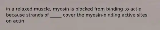 in a relaxed muscle, myosin is blocked from binding to actin because strands of _____ cover the myosin-binding active sites on actin