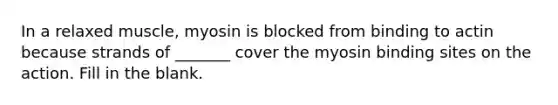 In a relaxed muscle, myosin is blocked from binding to actin because strands of _______ cover the myosin binding sites on the action. Fill in the blank.