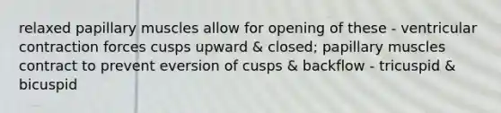 relaxed papillary muscles allow for opening of these - ventricular contraction forces cusps upward & closed; papillary muscles contract to prevent eversion of cusps & backflow - tricuspid & bicuspid