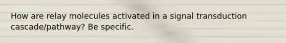 How are relay molecules activated in a signal transduction cascade/pathway? Be specific.