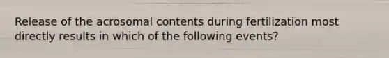 Release of the acrosomal contents during fertilization most directly results in which of the following events?