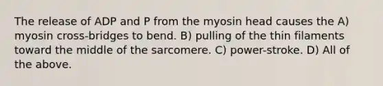 The release of ADP and P from the myosin head causes the A) myosin cross-bridges to bend. B) pulling of the thin filaments toward the middle of the sarcomere. C) power-stroke. D) All of the above.