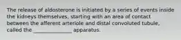 The release of aldosterone is initiated by a series of events inside the kidneys themselves, starting with an area of contact between the afferent arteriole and distal convoluted tubule, called the _______________ apparatus.