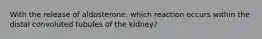 With the release of aldosterone, which reaction occurs within the distal convoluted tubules of the kidney?