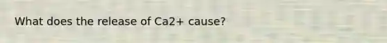 What does the release of Ca2+ cause?