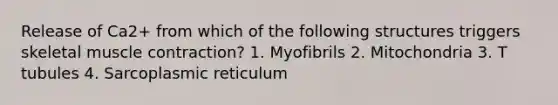 Release of Ca2+ from which of the following structures triggers skeletal <a href='https://www.questionai.com/knowledge/k0LBwLeEer-muscle-contraction' class='anchor-knowledge'>muscle contraction</a>? 1. Myofibrils 2. Mitochondria 3. T tubules 4. Sarcoplasmic reticulum