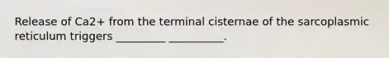 Release of Ca2+ from the terminal cisternae of the sarcoplasmic reticulum triggers _________ __________.