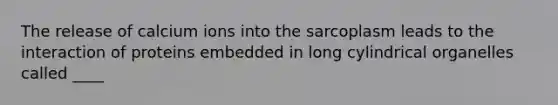 The release of calcium ions into the sarcoplasm leads to the interaction of proteins embedded in long cylindrical organelles called ____