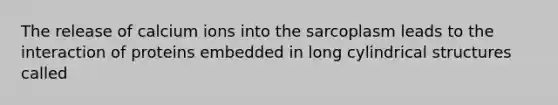 The release of calcium ions into the sarcoplasm leads to the interaction of proteins embedded in long cylindrical structures called