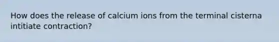 How does the release of calcium ions from the terminal cisterna intitiate contraction?