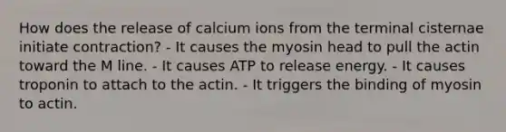 How does the release of calcium ions from the terminal cisternae initiate contraction? - It causes the myosin head to pull the actin toward the M line. - It causes ATP to release energy. - It causes troponin to attach to the actin. - It triggers the binding of myosin to actin.