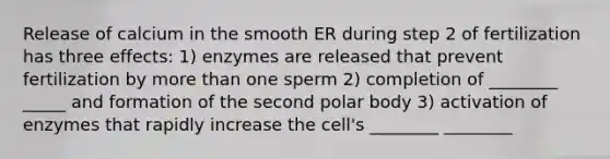 Release of calcium in the smooth ER during step 2 of fertilization has three effects: 1) enzymes are released that prevent fertilization by more than one sperm 2) completion of ________ _____ and formation of the second polar body 3) activation of enzymes that rapidly increase the cell's ________ ________