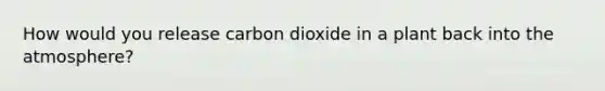 How would you release carbon dioxide in a plant back into the atmosphere?