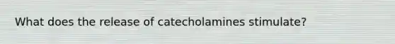 What does the release of catecholamines stimulate?