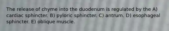 The release of chyme into the duodenum is regulated by the A) cardiac sphincter. B) pyloric sphincter. C) antrum. D) esophageal sphincter. E) oblique muscle.