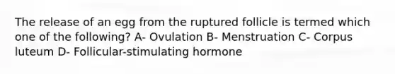 The release of an egg from the ruptured follicle is termed which one of the following? A- Ovulation B- Menstruation C- Corpus luteum D- Follicular-stimulating hormone