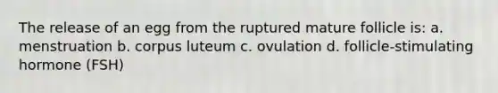 The release of an egg from the ruptured mature follicle is: a. menstruation b. corpus luteum c. ovulation d. follicle-stimulating hormone (FSH)