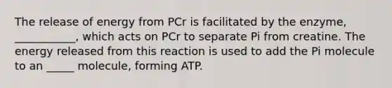 The release of energy from PCr is facilitated by the enzyme, ___________, which acts on PCr to separate Pi from creatine. The energy released from this reaction is used to add the Pi molecule to an _____ molecule, forming ATP.