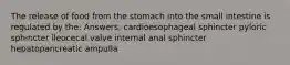 The release of food from the stomach into the small intestine is regulated by the: Answers: cardioesophageal sphincter pyloric sphincter ileocecal valve internal anal sphincter hepatopancreatic ampulla