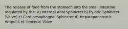 The release of food from the stomach into the small intestine regulated by the: a) Internal Anal Sphincter b) Pyloric Sphincter (Valve) c) Cardioesophageal Sphincter d) Hepatopancreatic Ampulla e) Ileocecal Valve