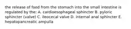 the release of food from the stomach into the small intestine is regulated by the: A. cardioesophageal sphincter B. pyloric sphincter (valve) C. ileocecal valve D. internal anal sphincter E. hepatopancreatic ampulla