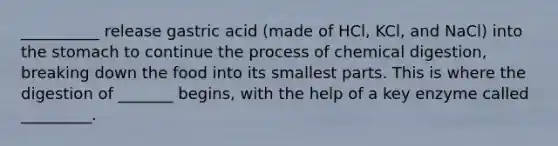 __________ release gastric acid (made of HCl, KCl, and NaCl) into the stomach to continue the process of chemical digestion, breaking down the food into its smallest parts. This is where the digestion of _______ begins, with the help of a key enzyme called _________.