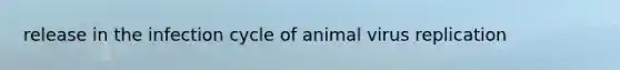 release in the infection cycle of animal virus replication