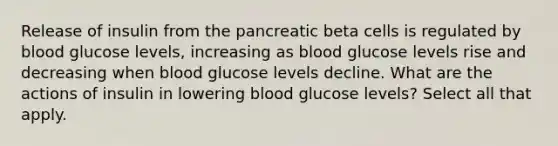 Release of insulin from the pancreatic beta cells is regulated by blood glucose levels, increasing as blood glucose levels rise and decreasing when blood glucose levels decline. What are the actions of insulin in lowering blood glucose levels? Select all that apply.