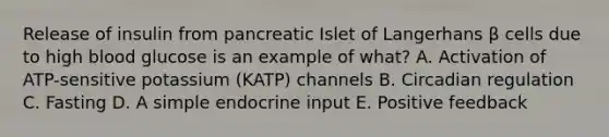 Release of insulin from pancreatic Islet of Langerhans β cells due to high blood glucose is an example of what? A. Activation of ATP-sensitive potassium (KATP) channels B. Circadian regulation C. Fasting D. A simple endocrine input E. Positive feedback