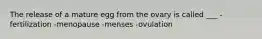 The release of a mature egg from the ovary is called ___ -fertilization -menopause -menses -ovulation
