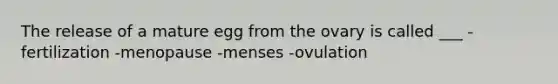 The release of a mature egg from the ovary is called ___ -fertilization -menopause -menses -ovulation