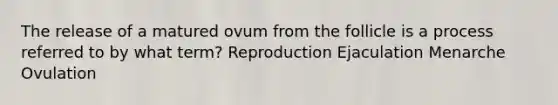 The release of a matured ovum from the follicle is a process referred to by what term? Reproduction Ejaculation Menarche Ovulation